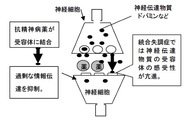 抗精神病薬の一般的な作用機序